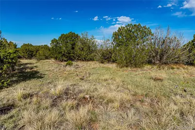 Tbd L Bandito Trail, Florence, CO 81226 - Photo 3