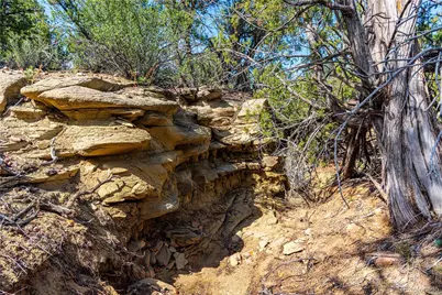 Tbd L Bandito Trail, Florence, CO 81226 - Photo 19