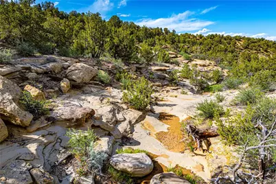Tbd L Bandito Trail, Florence, CO 81226 - Photo 7