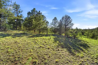 Doe Valley Road, Guffey, CO 80820 - Photo 9