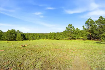 Doe Valley Road, Guffey, CO 80820 - Photo 3
