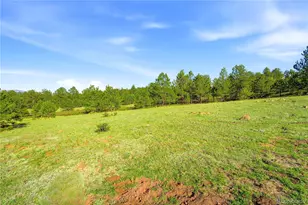Doe Valley Rd, Guffey, CO 80820 - Photo 1