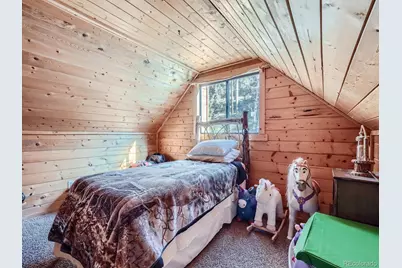 139 Hayes Road, Bailey, CO 80421 - Photo 15