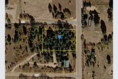 8050 Maple Expressway, Rye, CO 81069 - Photo 1