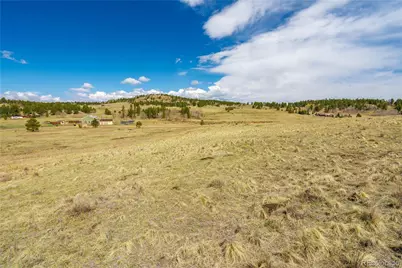 1265 County Rd 403, Florissant, CO 80816 - Photo 13