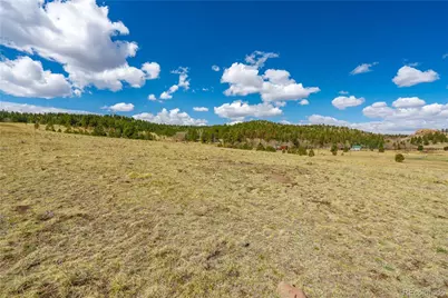 1265 County Rd 403, Florissant, CO 80816 - Photo 5