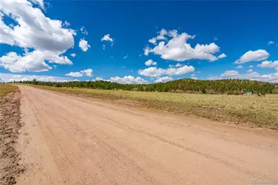 1265 County Rd 403, Florissant, CO 80816 - Photo 3