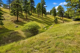 1107 Preserve Cir, Golden, CO 80401 - Photo 11