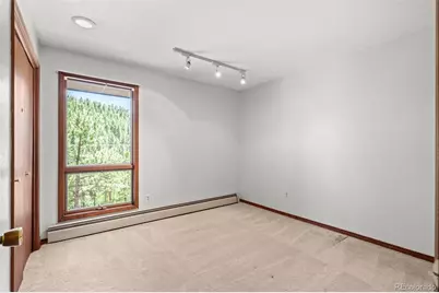33057 Little Cub Road, Evergreen, CO 80439 - Photo 23