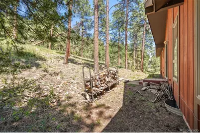 33057 Little Cub Road, Evergreen, CO 80439 - Photo 33