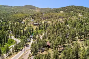 33057 Little Cub Rd, Evergreen, CO 80439 - Photo 39