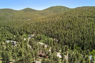 33057 Little Cub Rd, Evergreen, CO 80439 - Photo 43