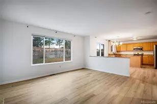 1255 Parsons Ave, Castle Rock, CO 80104 - Photo 17