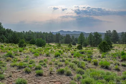 Lot 65 Elkhorn Road, Cotopaxi, CO 81223 - Photo 9
