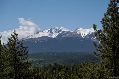 310 Blossom Road, Woodland Park, CO 80863 - Photo 21