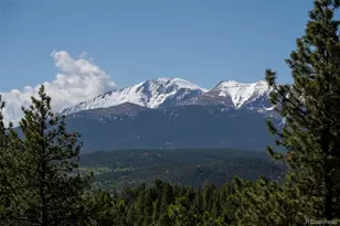 310 Blossom Rd, Woodland Park, CO 80863 - Photo 21