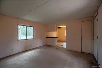 310 Blossom Road, Woodland Park, CO 80863 - Photo 7