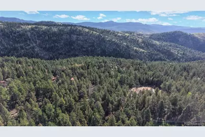 33476 La Plata Lane, Pine, CO 80470 - Photo 23