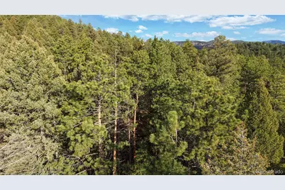 33476 La Plata Lane, Pine, CO 80470 - Photo 15