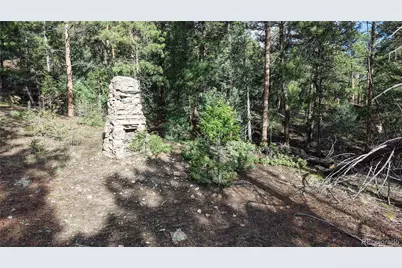 33476 La Plata Lane, Pine, CO 80470 - Photo 7