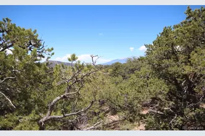 Lot 2157 San Isabel Road, Fort Garland, CO 81133 - Photo 3