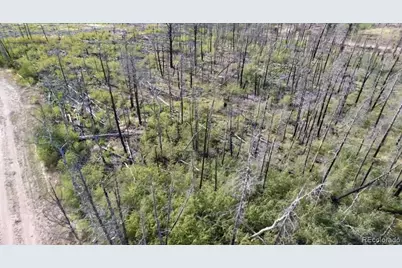 915/917 Ueda Place, Fort Garland, CO 81133 - Photo 5