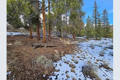 Parcel 11, Tract 11, Twin Lakes, CO 81251 - Photo 15