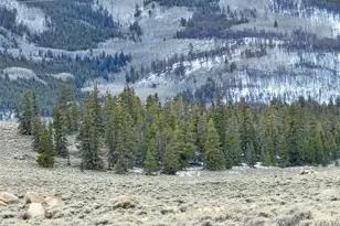 Parcel 11 Tract 11, Twin Lakes, CO 81251 - Photo 1