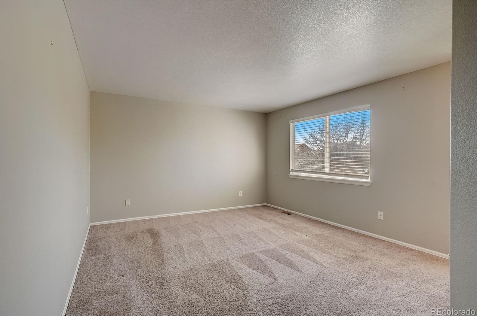 9427 Steele Dr, Denver CO  80229-3924 exterior