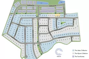 1206 Spg Crk Dr, Windsor, CO 80550 - Photo 29