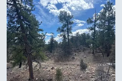 143 Ive Place, Cotopaxi, CO 81223 - Photo 13