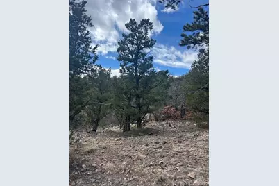 143 Ive Place, Cotopaxi, CO 81223 - Photo 9