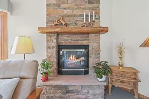 6584 Pike Cir, Larkspur, CO 80118 - Photo 11