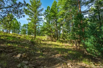 360 Hi Meadow Drive, Bailey, CO 80421 - Photo 3