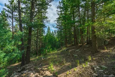 360 Hi Meadow Drive, Bailey, CO 80421 - Photo 5