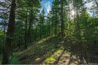 360 Hi Meadow Drive, Bailey, CO 80421 - Photo 9