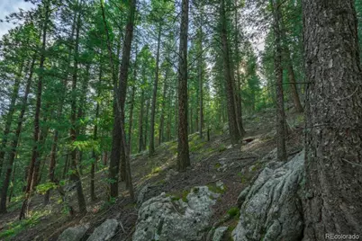 360 Hi Meadow Drive, Bailey, CO 80421 - Photo 15