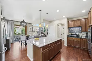 9572 Firenze Way, Highlands Ranch, CO 80126 - Photo 13