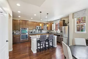 9572 Firenze Way, Highlands Ranch, CO 80126 - Photo 11