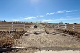 1313 Single Tree Ln, Erie, CO 80516 - Photo 41