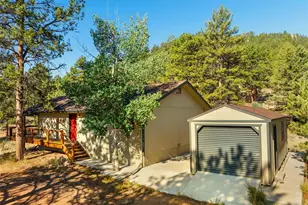 62 White Trl, Lake George, CO 80827 - Photo 9