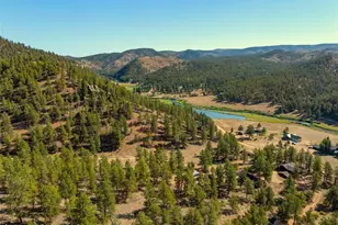 62 White Trl, Lake George, CO 80827 - Photo 37