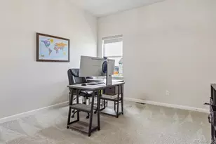 14307 Shasta Daisy Pt, Parker, CO 80134 - Photo 29