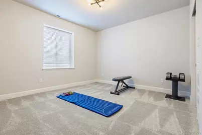 14307 Shasta Daisy Point, Parker, CO 80134 - Photo 35