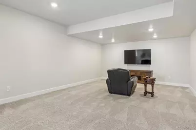14307 Shasta Daisy Point, Parker, CO 80134 - Photo 33