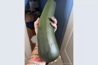 471 Iola Street, Aurora, CO 80010 - Photo 17