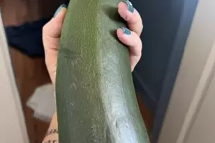 471 Iola St, Aurora, CO 80010 - Photo 17