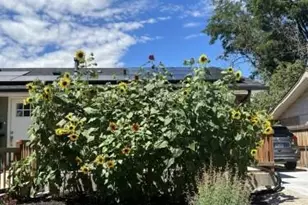 471 Iola St, Aurora, CO 80010 - Photo 7