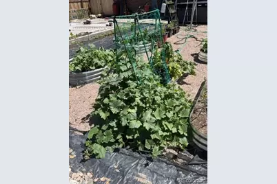 471 Iola Street, Aurora, CO 80010 - Photo 13