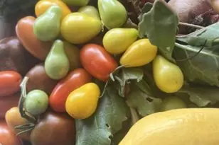 471 Iola St, Aurora, CO 80010 - Photo 15